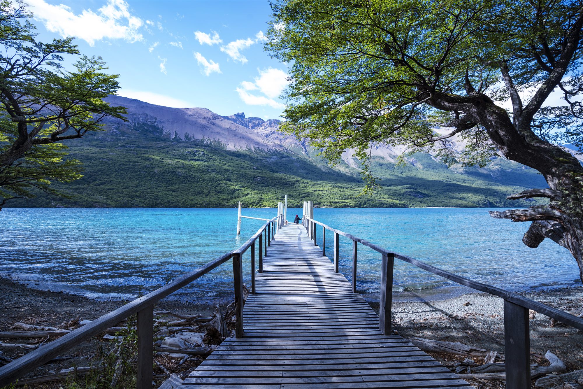 Muelle Reserva Glaciar Vespignani